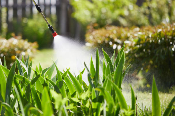24/7 Emergency Mosquito Control experts in Asbury Park, NJ