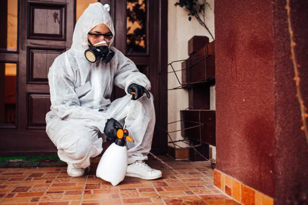 Reliable Mosquito Control contractor in Asbury Park, NJ by Show Me Pest Control