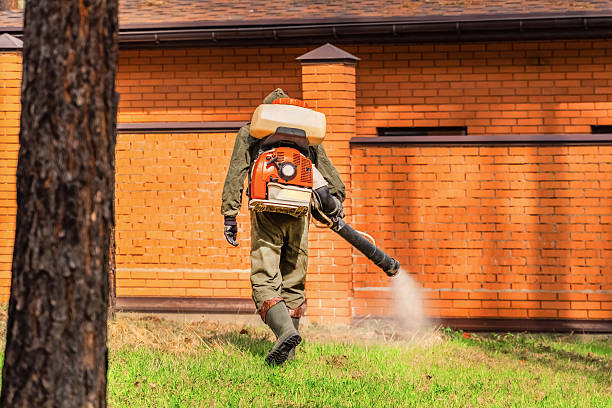 Top rated local Mosquito Control specialists in Asbury Park, NJ